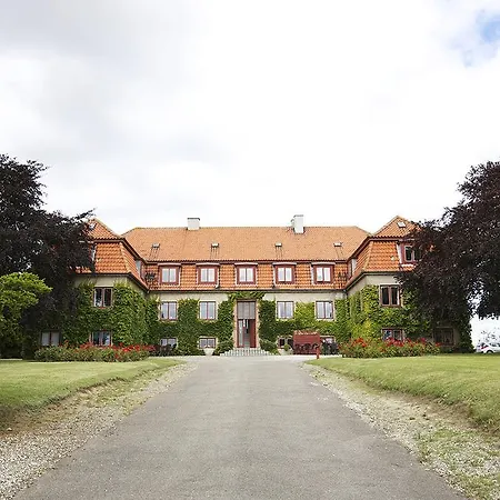 Elmehoj
