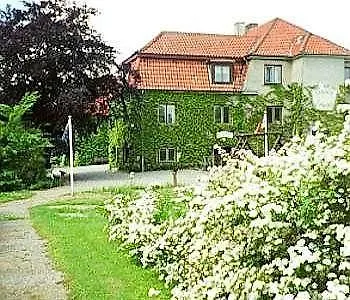 Elmehoj